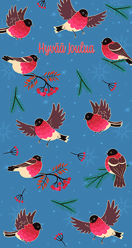 2-os joulu setelitaskukortti