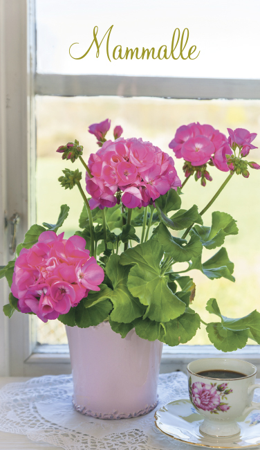 2-os Mammalle Jorma Jämsen