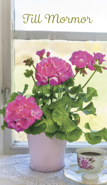 2-os Mormor Jorma Jämsen