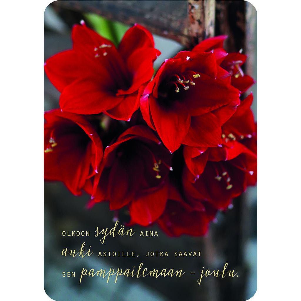 1-os joulu Ilona Pietiläinen