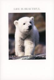 [49P00123] 2-os kortti engl