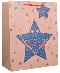 [6621209] Joulukassi S/C kraft tähti