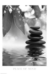 [10650039105000] Juliste 61x91,5cm lokero 46 juliste 46