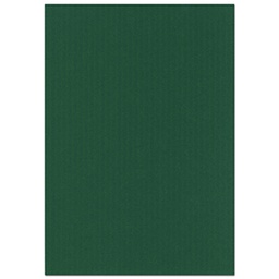 [34858] Kortti 10x15cm 220gsm joulun vihreä 10 kpl/pss