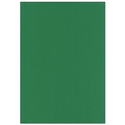 [34854] Kortti 10x15 cm 220gsm ruohon vihreä 10 kpl/pss