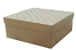 [6687009] Lahjarasiasetti kraft hopearaita