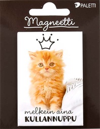 [55781] Magneetti kullannuppu