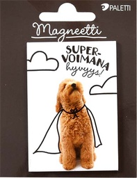 [55784] Magneetti supervoima
