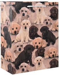 [6641483] Lahjakassi L/F Mainelakeus Labradori