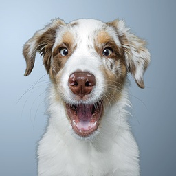 [51P0100] 2-os neliökortti