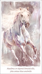 [49P00161] 2-os kortti Mainelakeus