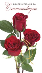 [245284] 2-os valmistuminen R