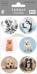 [351305] Tarra KT20 Mainelakeus koirat