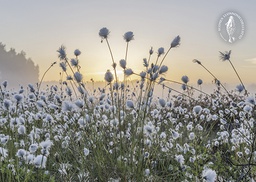 [2725453] 1-os kortti Suomen luonnonsuojeluliitto