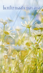 [23P7049] 2-os rippi rahakuori