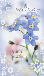 [23P7056] 2-os rippi R