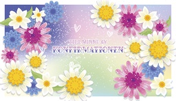 [237020] 2-os rippi R