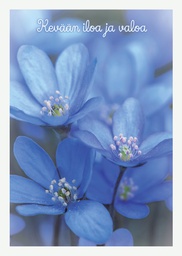 [27P00375] 1-os kevätkortti