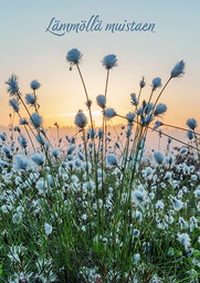 [646002] Suruadressi Tupasvilla