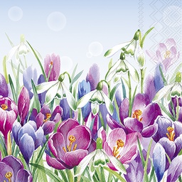 [L1071949] CROCUS light blue 33 cm