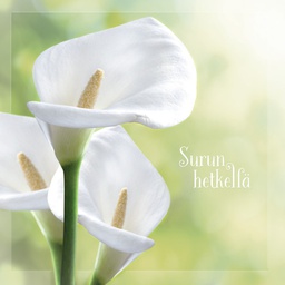 [19P07010] 2-os adressikortti Kalla SPR osanotto