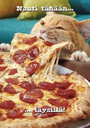 [3910145] 1-os hupikortti Avanti