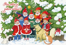 [125368] 2-os joulu Sydänliitto PMM