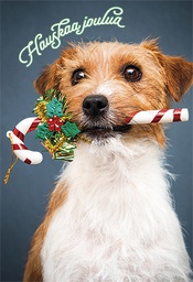 [125379] 2-os joulu Muistiliitto PMM