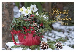 [125380] 2-os joulu Muistiliitto PMM