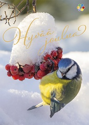 [117953] 1-os joulu Syöpäpotilaat PMM