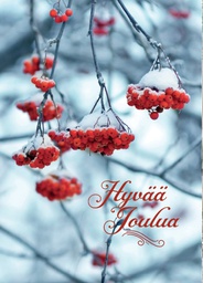 [29196] 1-os joulu Unicef PMM