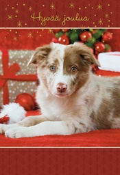 [29208] 2-os joulu Hallmark