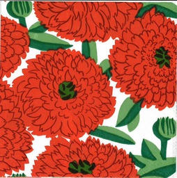 [C841817/C841810] PRIMAVERA orange 25cm
