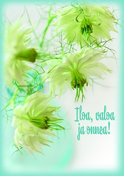 [2742386] 1-os onnittelu