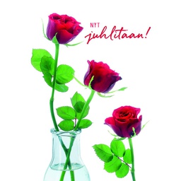 [2742205] 1-os onnittelu