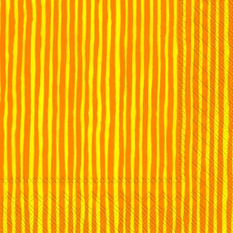 [C605817] VARVUNRAITA orange