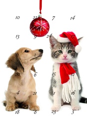 [315337] Joulukorttikalenteri CIL A6