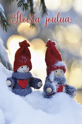 [3361228] 2-os joulupakettikortti valokuvattu Kati Pekkarinen