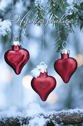 [3361229] 2-os joulupakettikortti valokuvattu Kati Pekkarinen