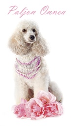 [1920082] 2-os onnittelu setelitasku