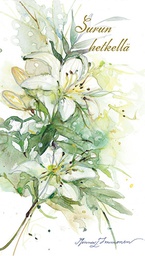 [19P05681] 2-os osanotto Minna Immonen