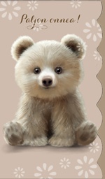 [49P00250] 2-os kortti Mainelakeus