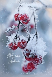 [125418] Liikejoulukorttipussi Kati Pekkarinen