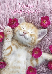 [2510056] 1-os syntymäpäivä