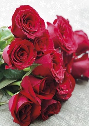 [2530193] 1-os kortti