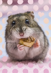 [4750204] 1-os eläinkortti