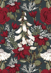 [2725485] 1-os kortti Vallila Lupaus puna-vihreä