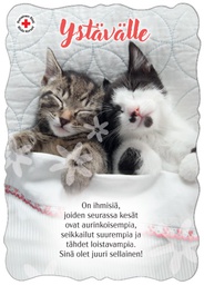 [29390] 1-os ystävänpäivä SPR PMM Hallmark