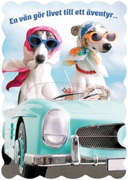 [29411] 1-os ystävänpäivä R stanssattu Hallmark