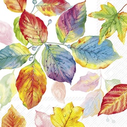 [C1050300] COLORFUL LEAVES 25cm